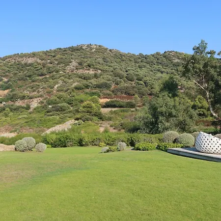 Paradisu مونتايسلو