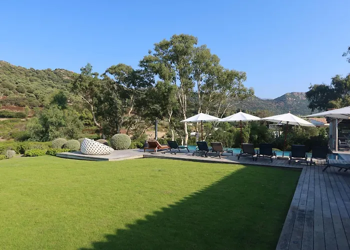 Paradisu * Monticello